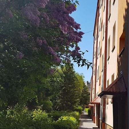 Apartament Centrum przy Maxie Tarnów Zewnętrze zdjęcie